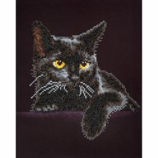 Diamond Painting Midnight Cat 28 x 36cm